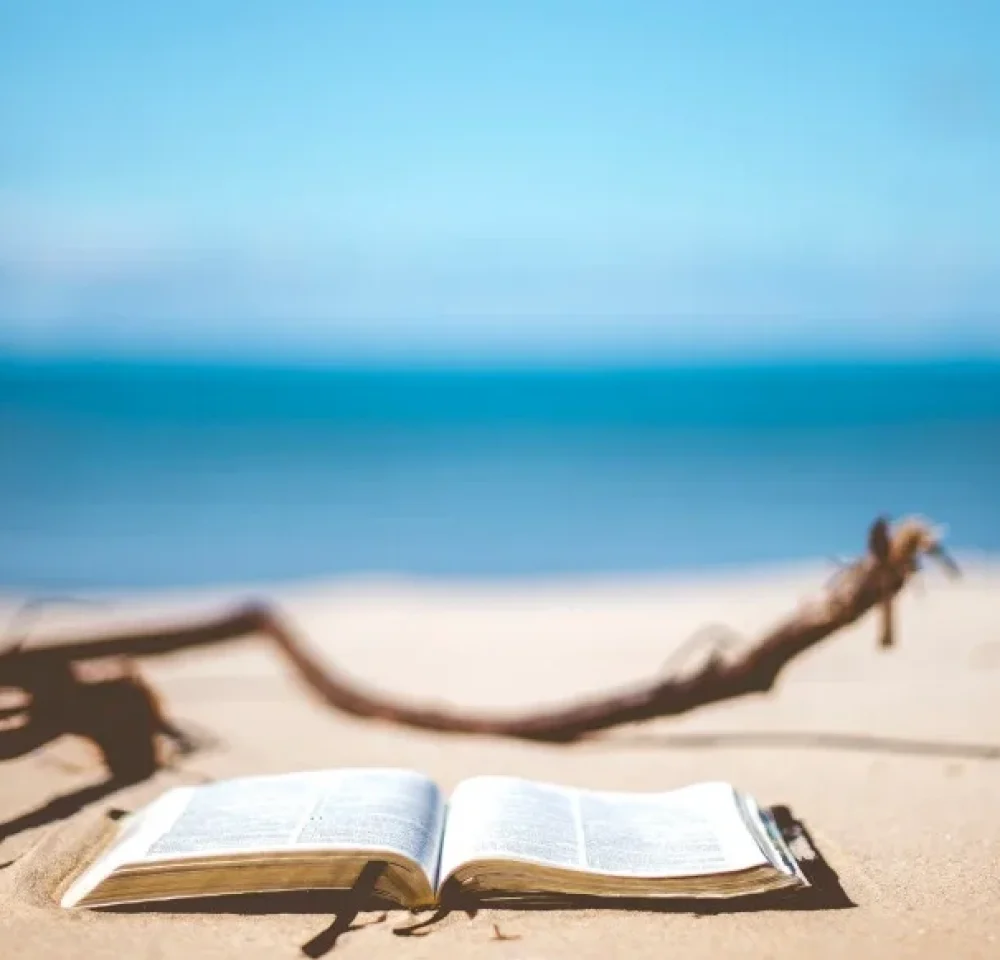 beach book sand ocean reading 76642